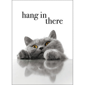 Affirmations Animal Series Cards