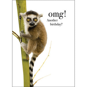 Affirmations Animal Series Cards