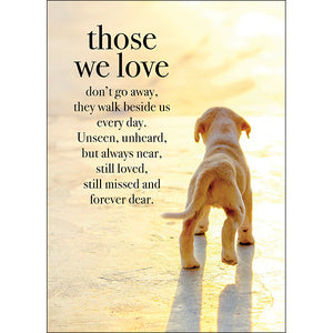 Affirmations Animal Series Cards