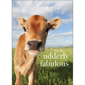 Affirmations Animal Series Cards