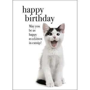 Affirmations Animal Series Cards