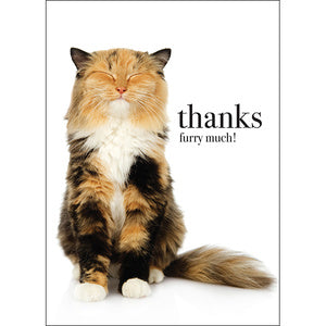 Affirmations Animal Series Cards