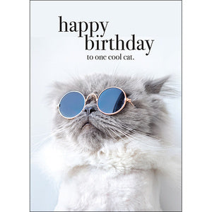 Affirmations Animal Series Cards