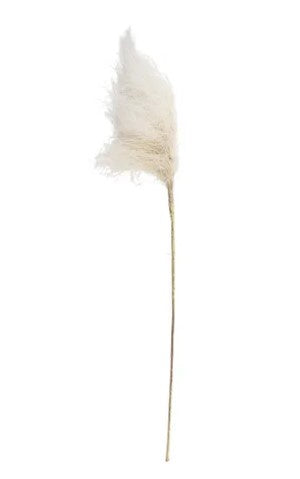 Life Botanic Faux Reed Grass Spray 80cm Cream