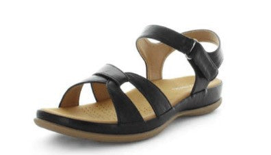 Aerocushion Milty
