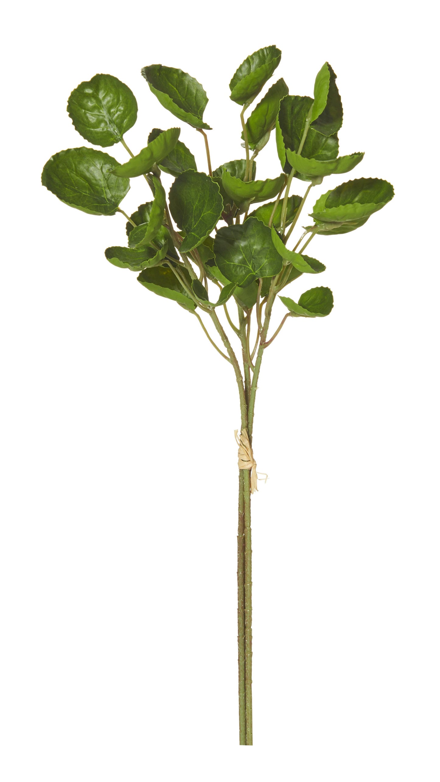 Rogue Aralia Pick Bunch Green 38cm