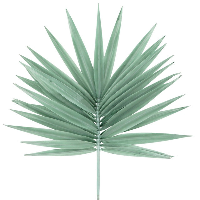 NF Living Palm Fan Sage 40x90cm