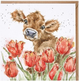 Wrendale Designs Card