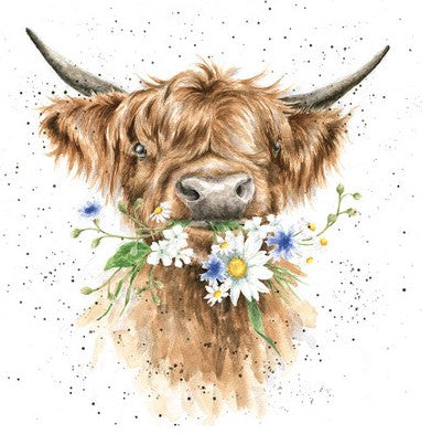 Wrendale Designs Card