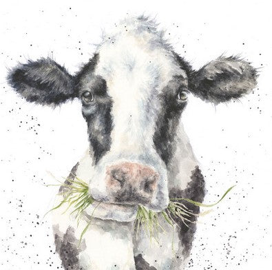 Wrendale Designs Card