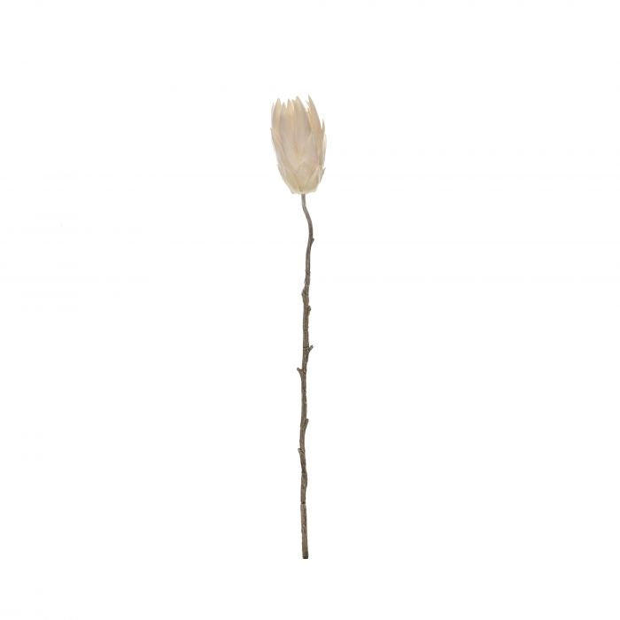 Rogue Deco Protea Stem - Cream
