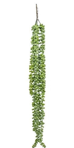 Life Botanica Hanging Ragworts Succulent Spray