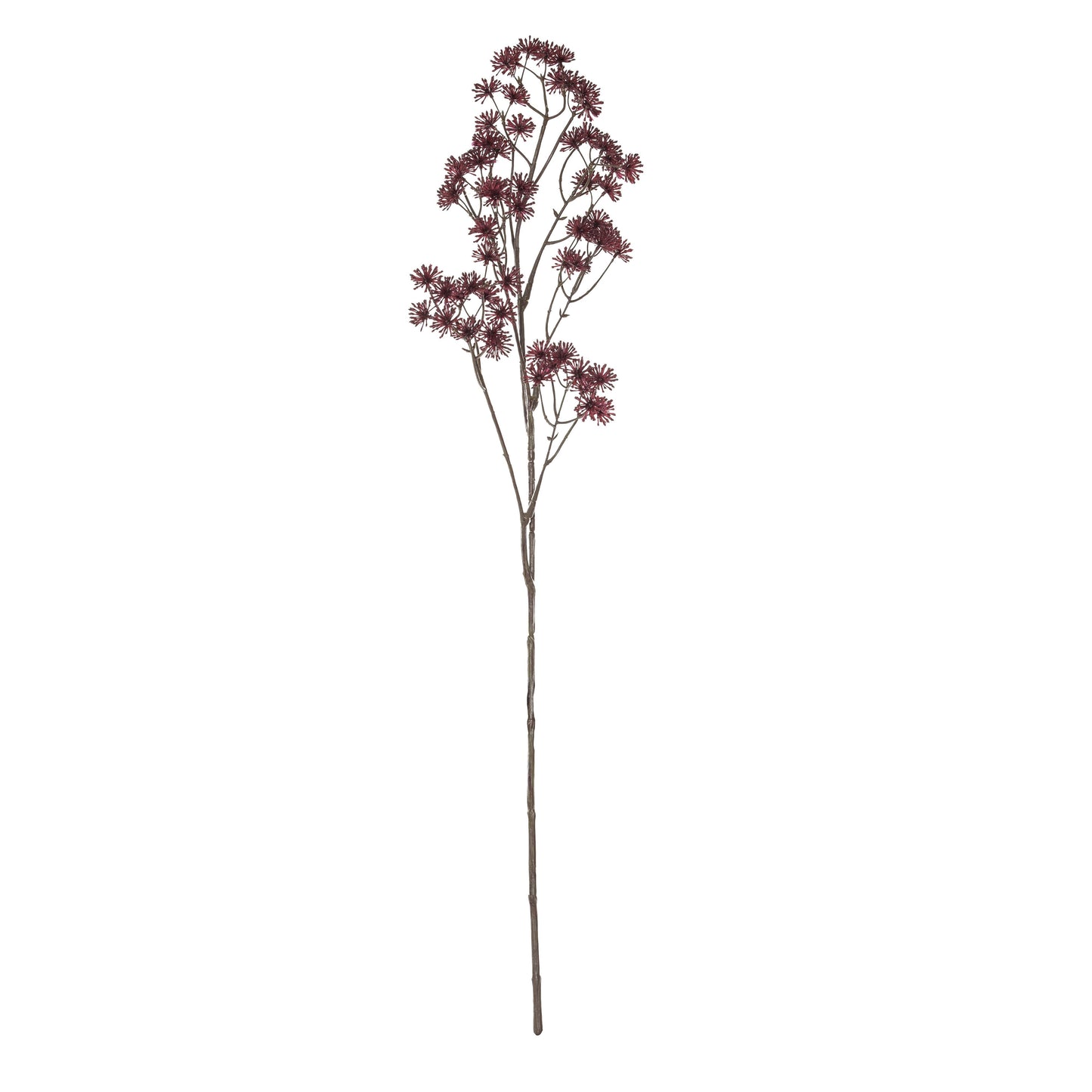 Rogue Aralia Spray - Burgundy
