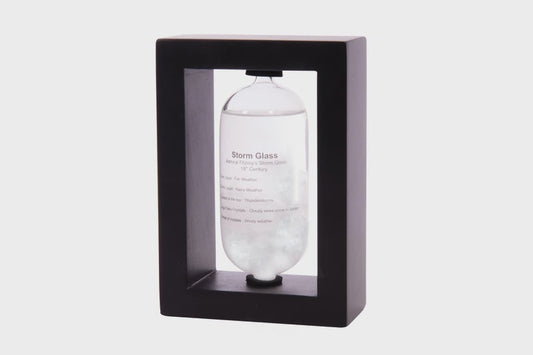 Maverick Capsule Weather Station