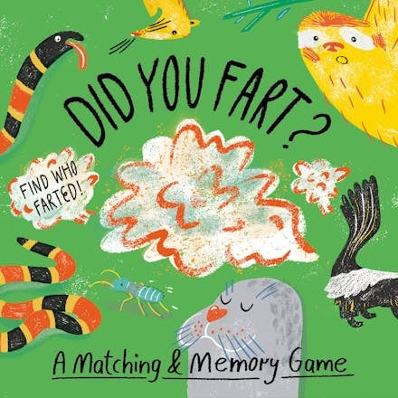 Did You Fart Memory Game