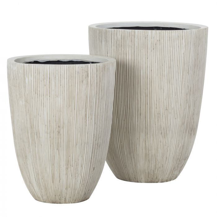 Rogue Lincoln Planter Cream
