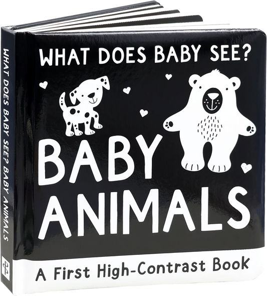 What Does Baby See? - Peter Pauper Press