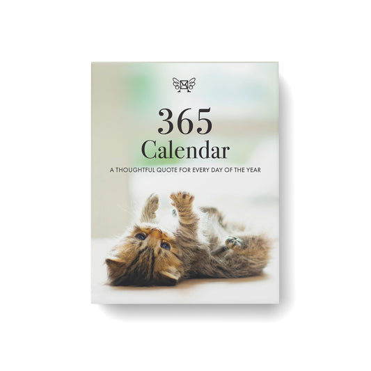 Affirmations 365 Calendar