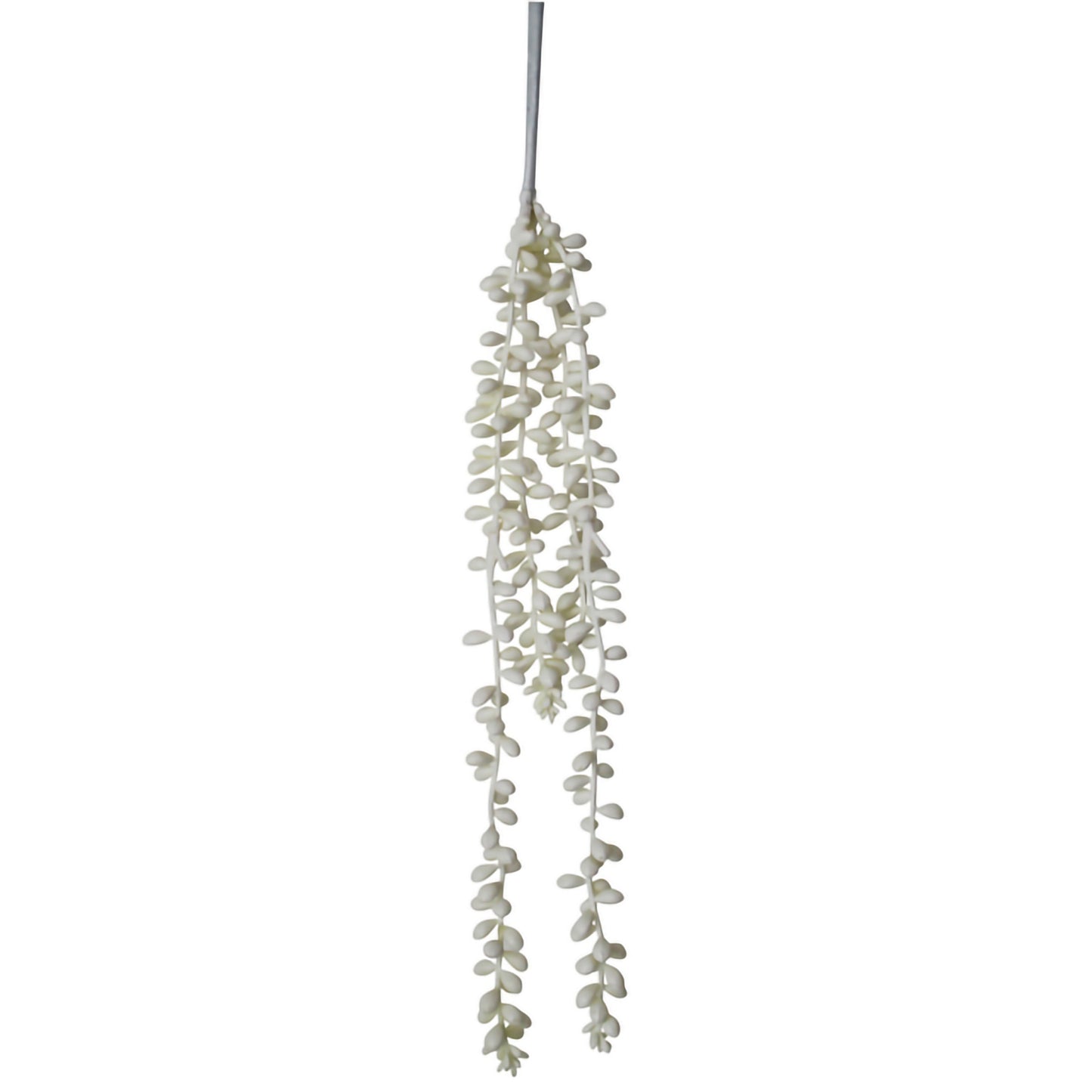 NF Living Hanging Pearl Succulent