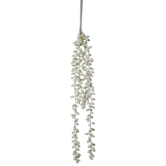 NF Living Hanging Pearl Succulent