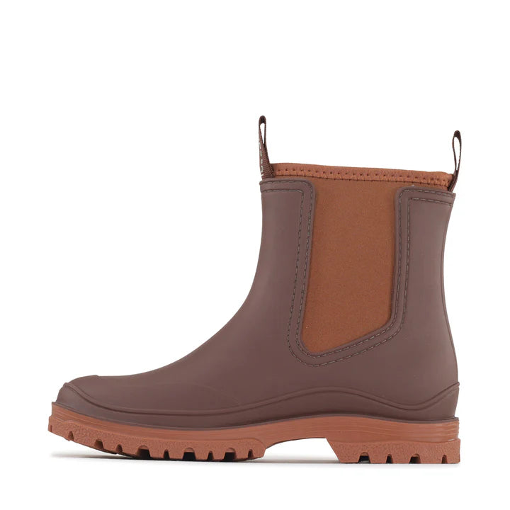 Los Cabos Amelia - Chocolate