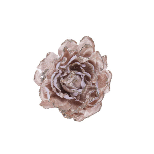 Holly & Ivy Champagne Camelia Clip Flower