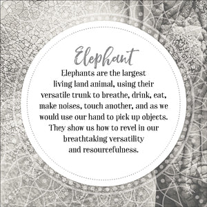 Affirmations Animal Wisdom Insight Pack