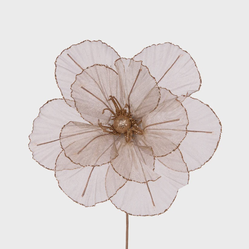 Holly & Ivy Sheer Copper Camellia