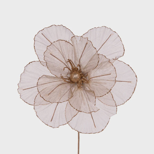 Holly & Ivy Sheer Copper Camellia