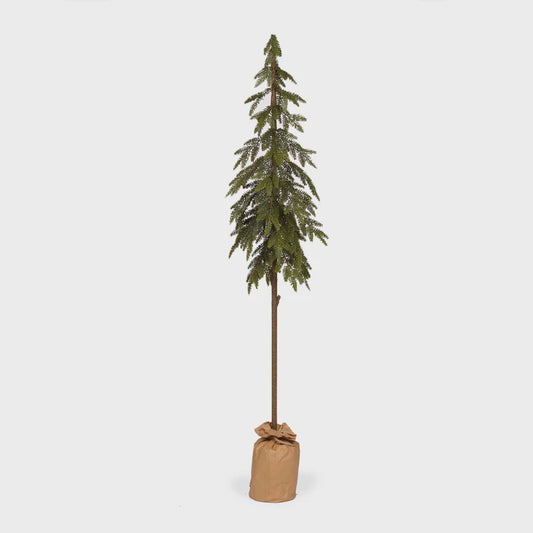 Holly & Ivy Potted Nordic Pine Tree 143 CM