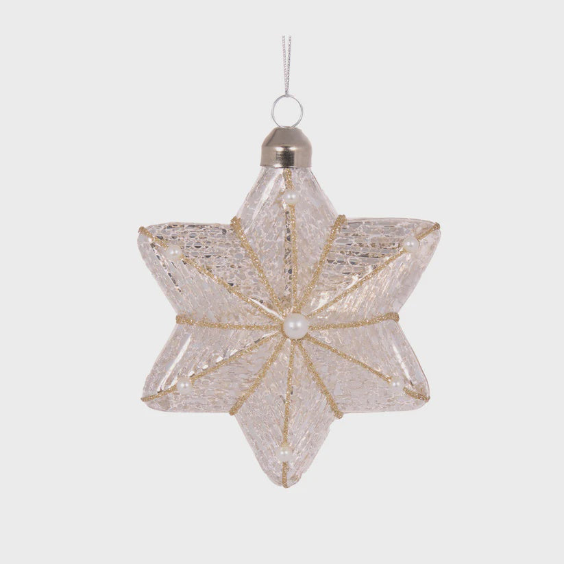 Holly & Ivy Ivory Mercury Ornaments Assorted