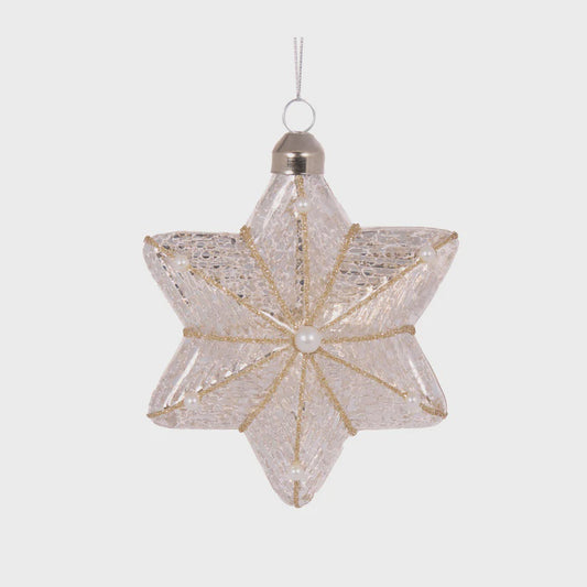 Holly & Ivy Ivory Mercury Ornaments Assorted