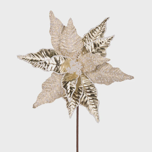 Holly & Ivy Pearl Leaf Poinsettia - Champagne