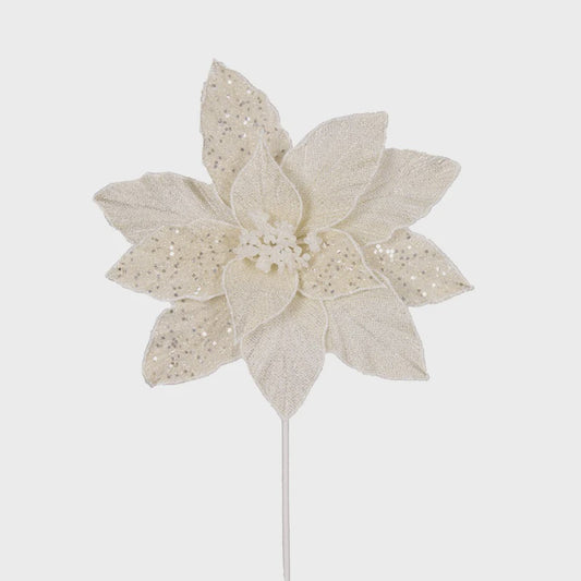 Holly & Ivy Frosted Poinsettia - Ivory
