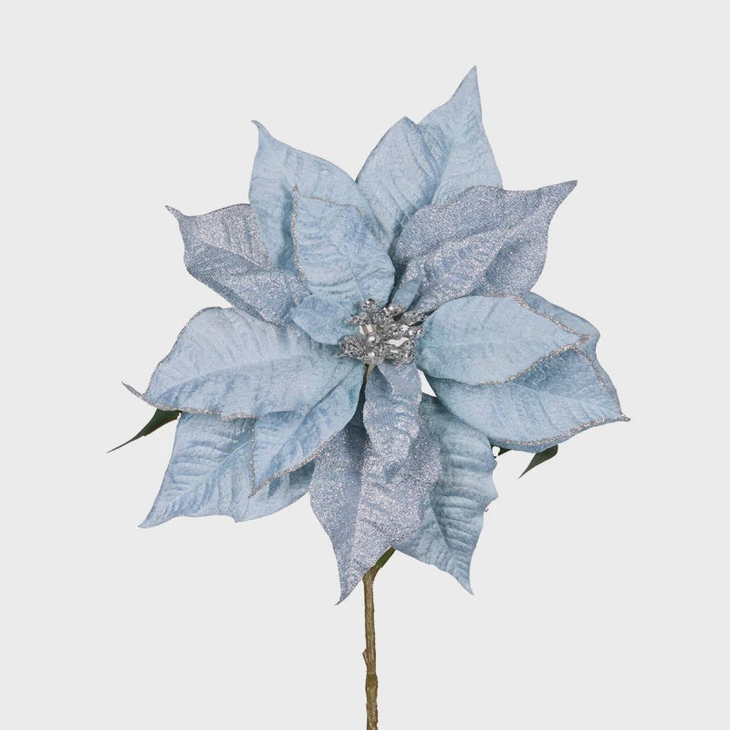 Holly & Ivy Natural Poinsettia - Blue