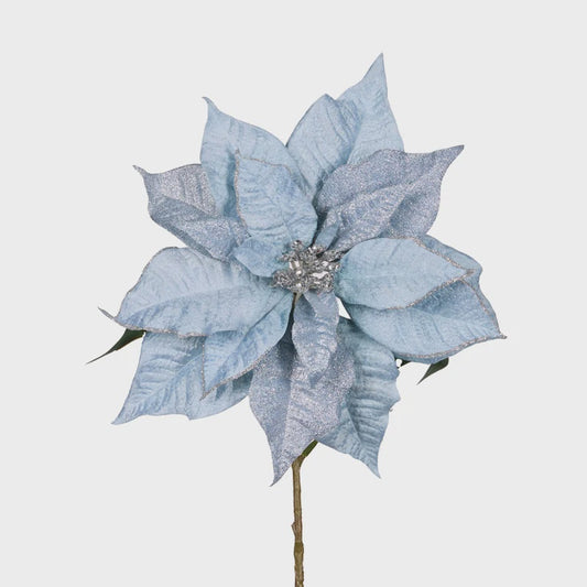 Holly & Ivy Natural Poinsettia - Blue