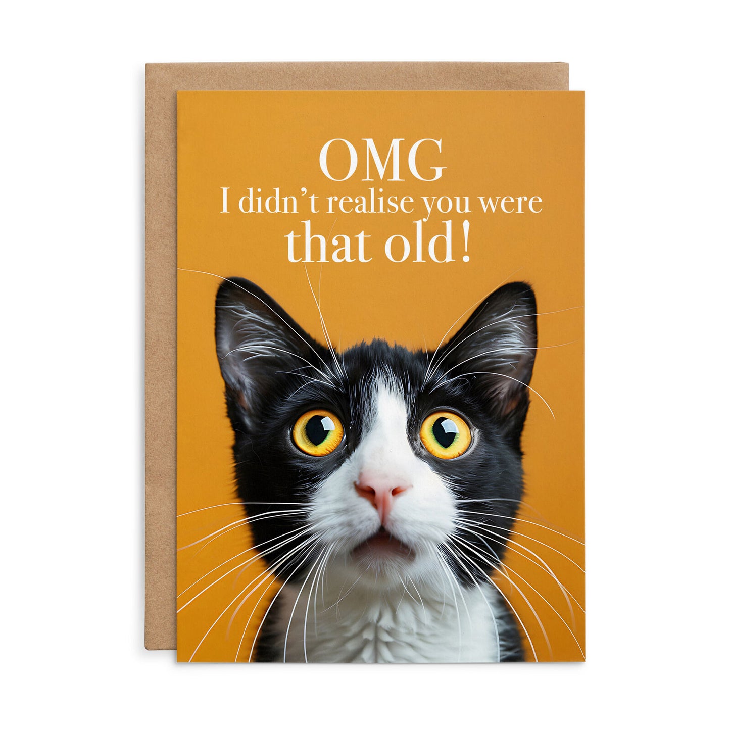 Affirmations Animal Series Cards