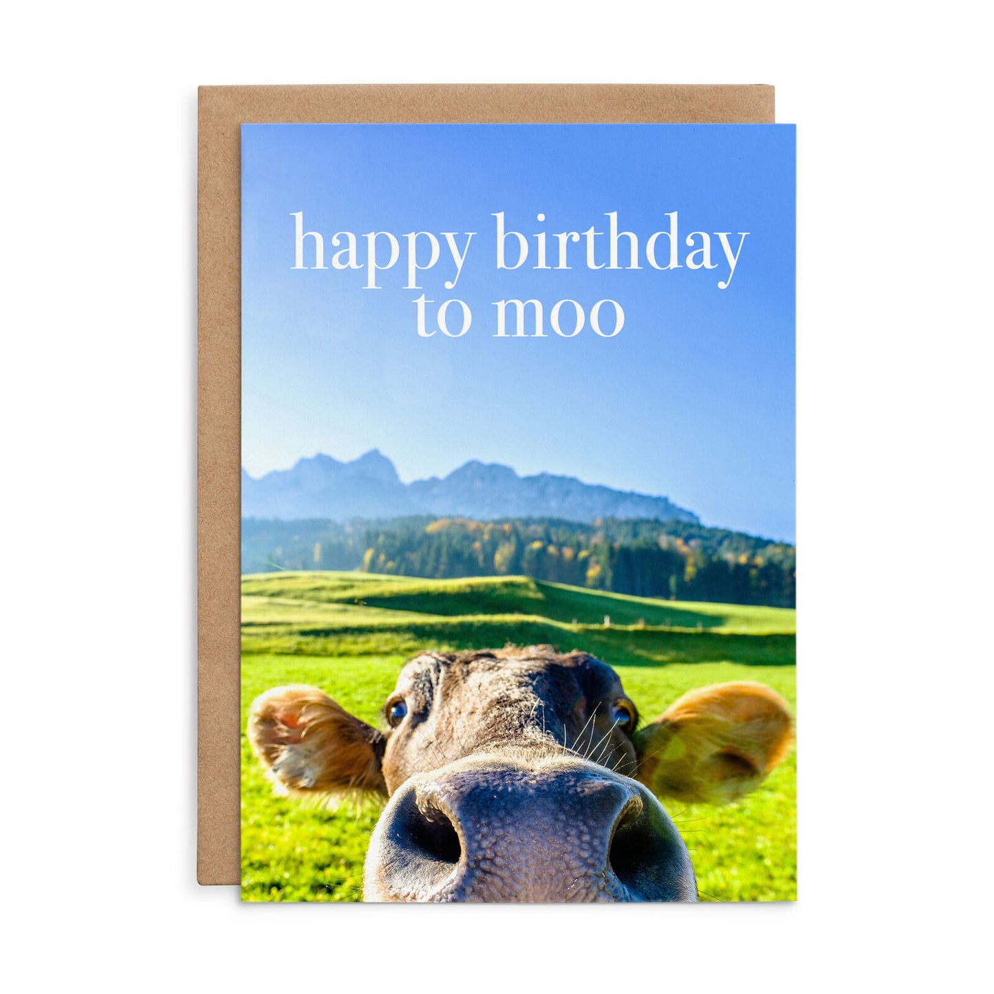 Affirmations Animal Series Cards