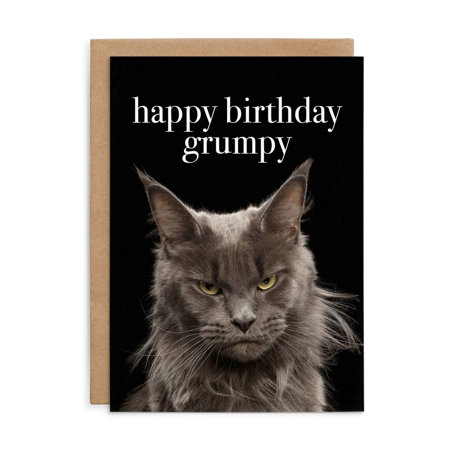 Affirmations Animal Series Cards