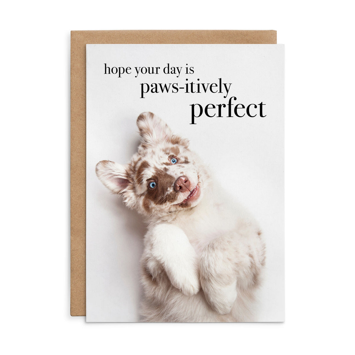 Affirmations Animal Series Cards