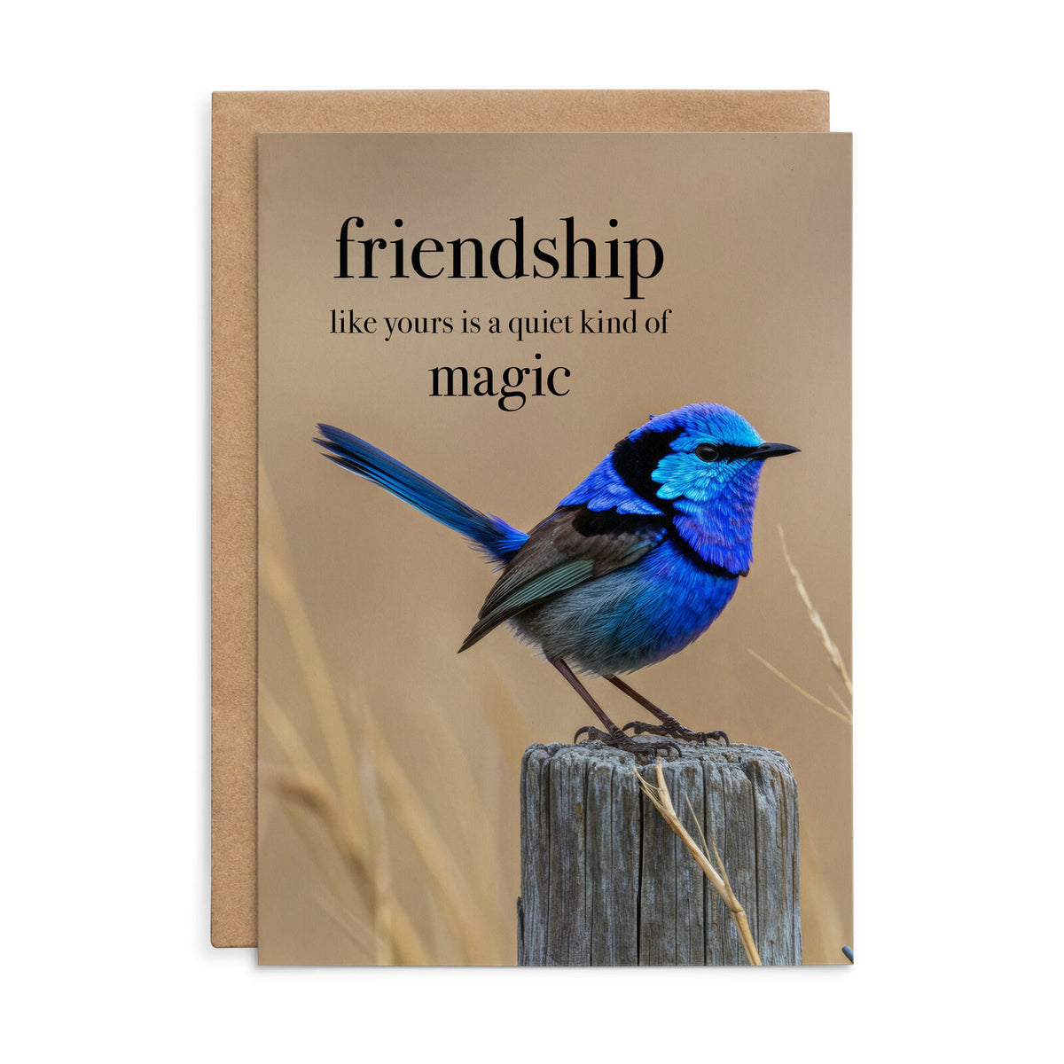 Affirmations Animal Series Cards