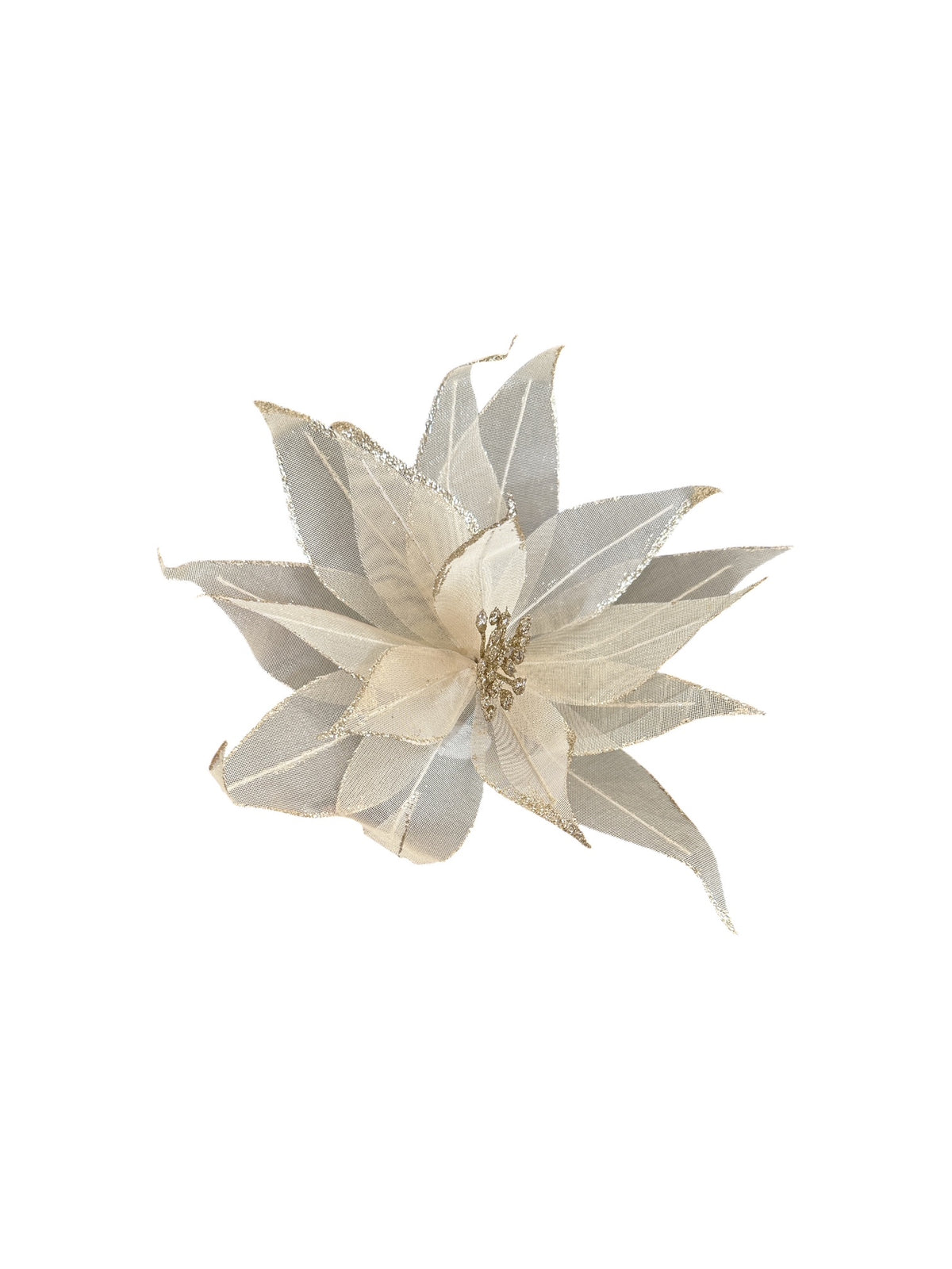 Gala Sparkle Poinsettia - Gold