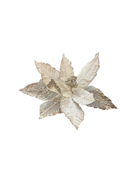 Gala Glitz Poinsettia - Blush/Gold