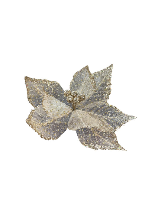 Gala Delicate Poinsettia - Gold
