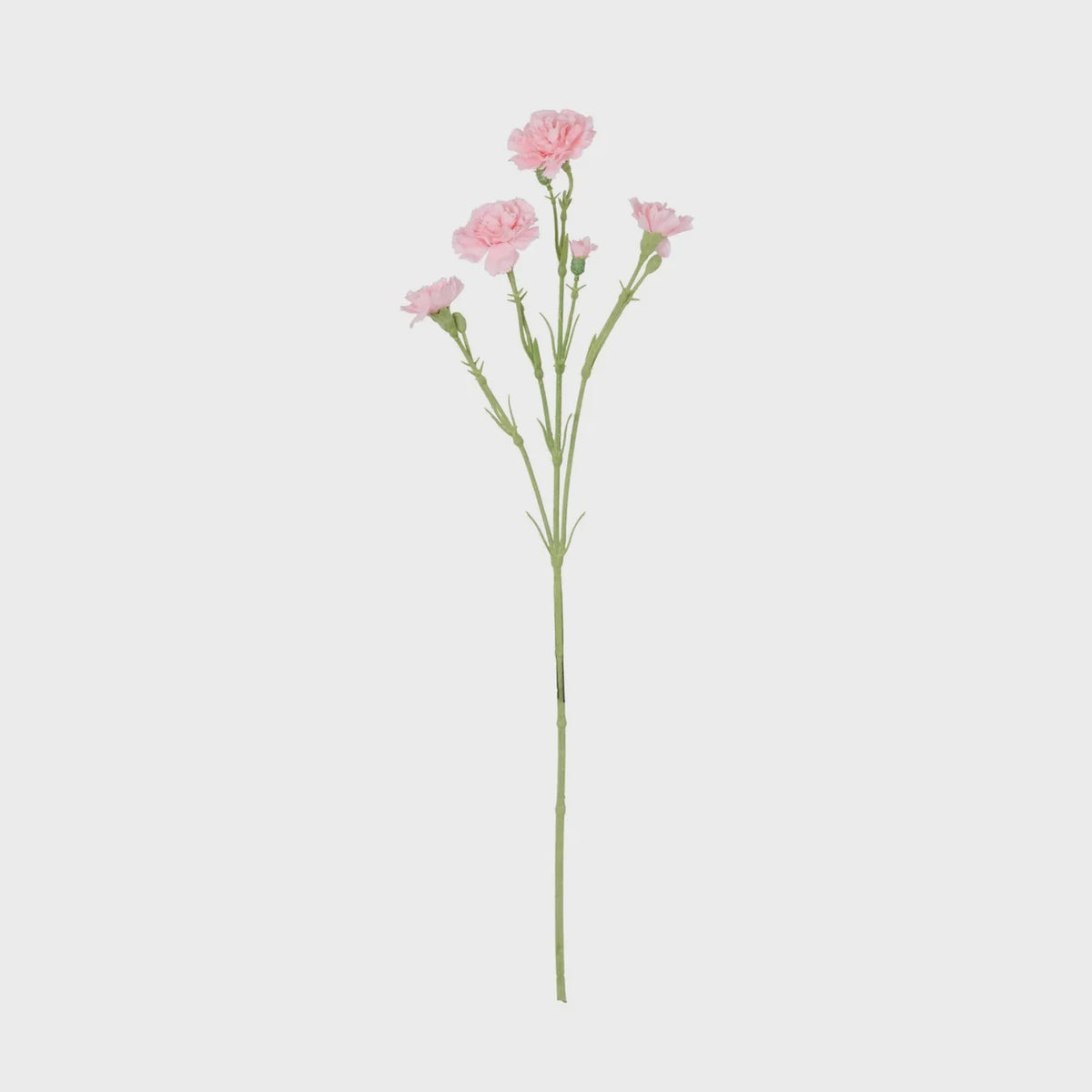 Rogue Carnation Spray - Light Pink