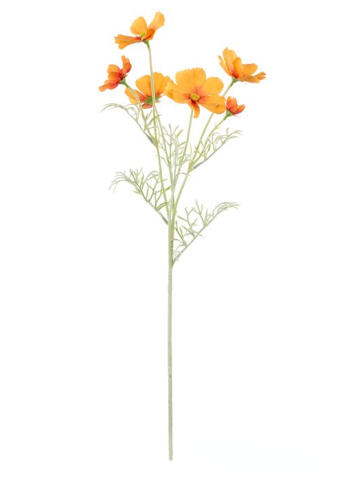 Rogue Cosmos Flower Spray