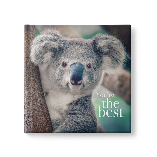 Affirmations You're The Best Book