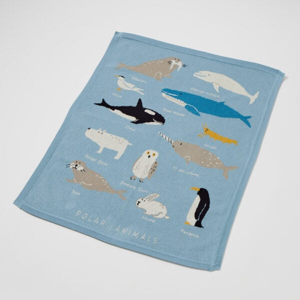 Jiggle & Giggle Aurora Baby Blanket