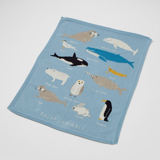 Jiggle & Giggle Aurora Baby Blanket