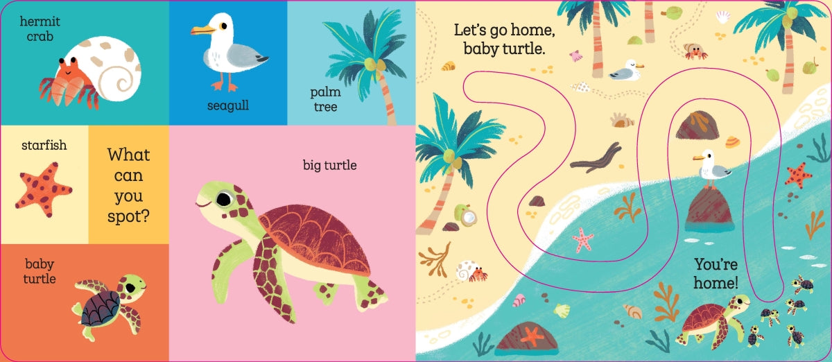 Baby Turtle - Carolina Buzio